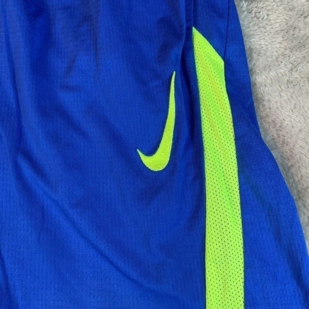Nike Dri-Fit Shorts
